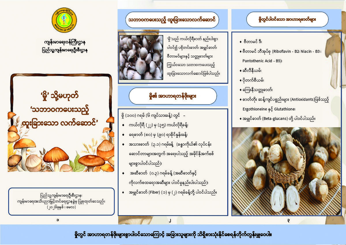 ‘မှို’ သို့မဟုတ် ‘သဘာဝကပေးသည့် ထူးခြားသော လက်ဆောင်’
