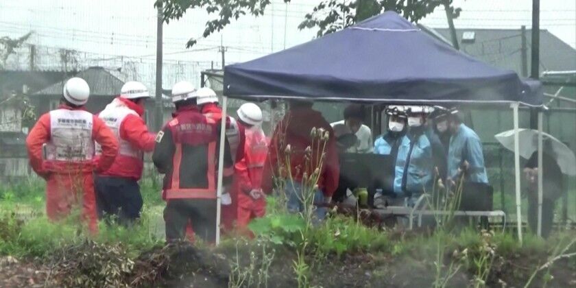 Bear caught in Japanese city after roaming streets